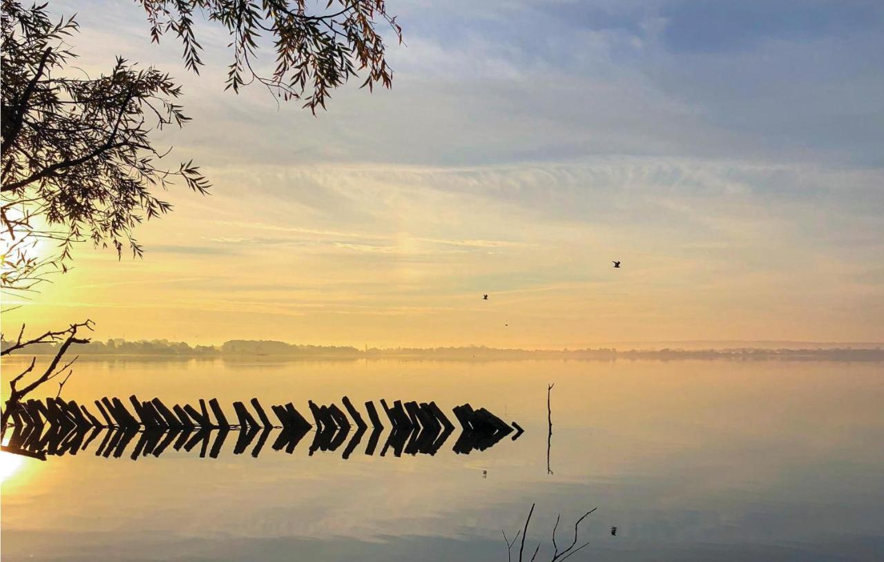 Lovely Home In Lembruch-Duemmer See With Wifi Екстер'єр фото